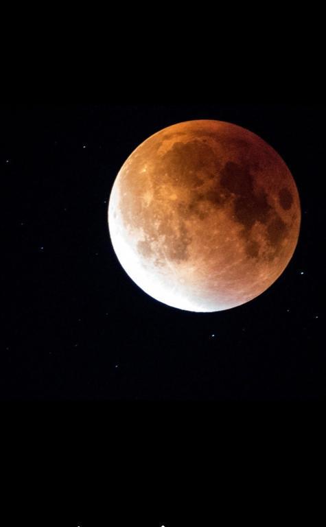 Luna Costinesti Zewnętrze zdjęcie